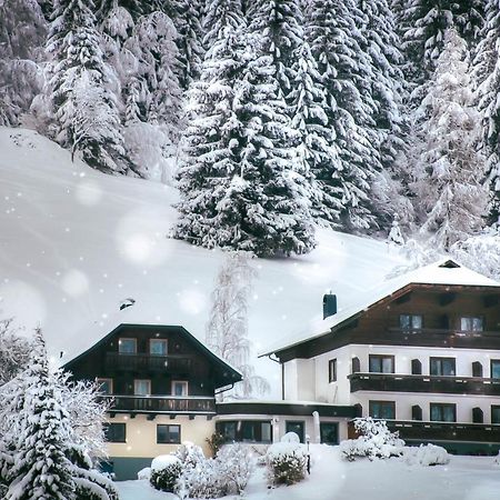 Pension & Appartements Ronacherhof Bad Kleinkirchheim Exterior foto