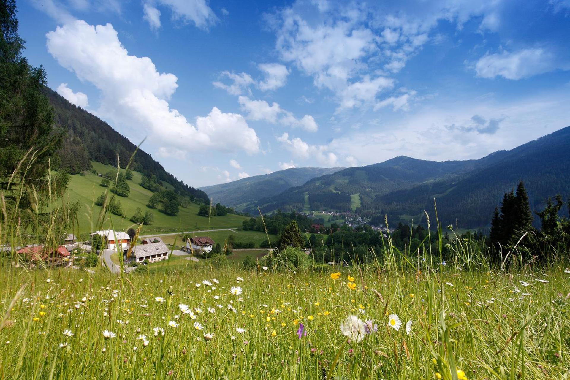 Pension & Appartements Ronacherhof Bad Kleinkirchheim Exterior foto